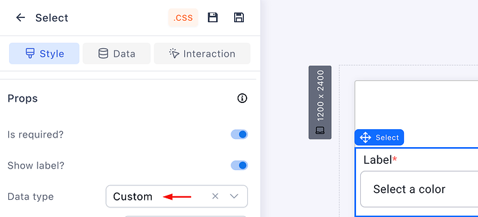 Setting the Data type to Custom