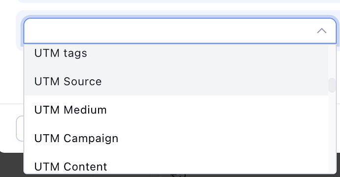 UTM tags and metadata options