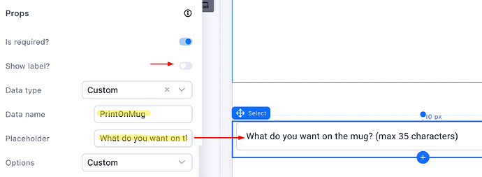 Configuring a custom text input for Shopify notes