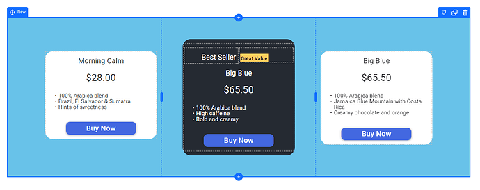 Blue outline highlighting the selection