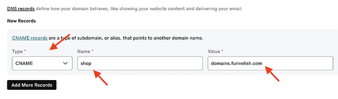 Subdomain DNS setup: CNAME record pointing the prefix to domains.funnelish.com