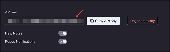 Hyros API settings page