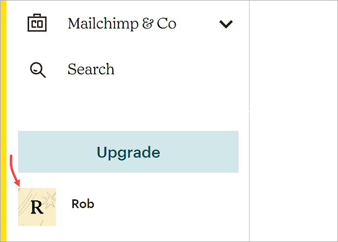 MailChimp account icon
