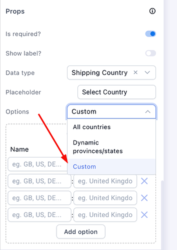 Custom select options